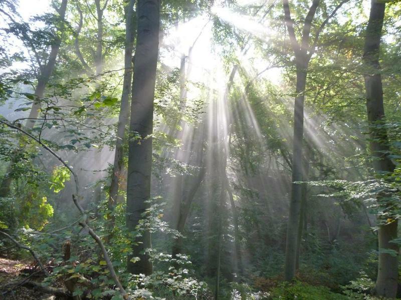 Ferienwohnung Kluge Markische Heide Luaran gambar